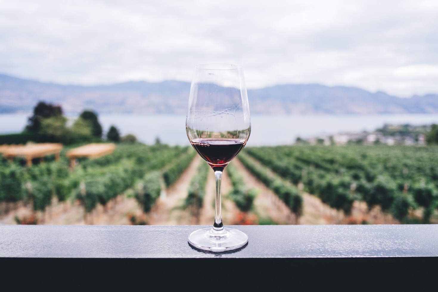 Wine and Heart Health: What You Need to Know